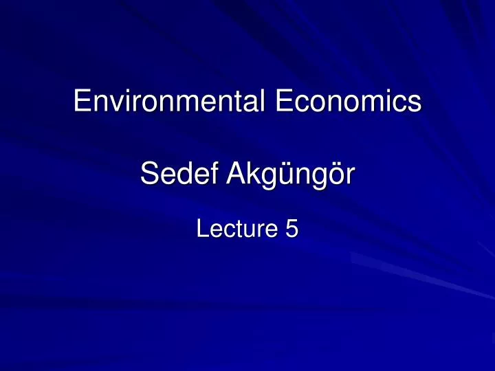 environmental economics sedef akg ng r