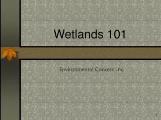 Wetlands 101