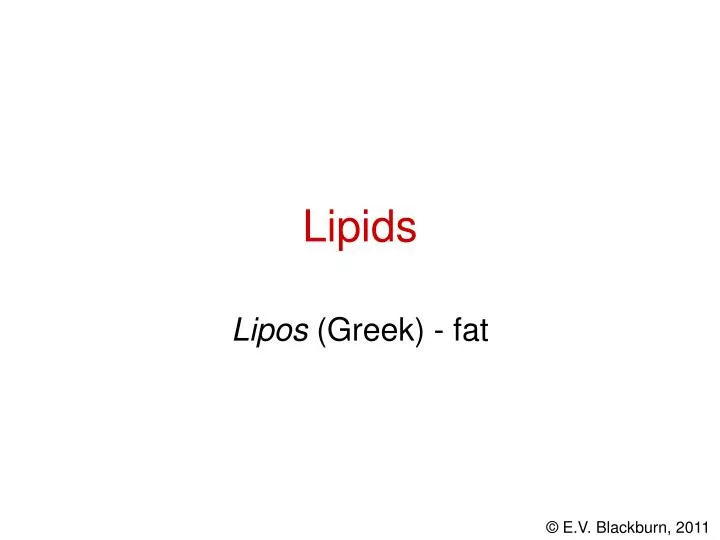 lipids