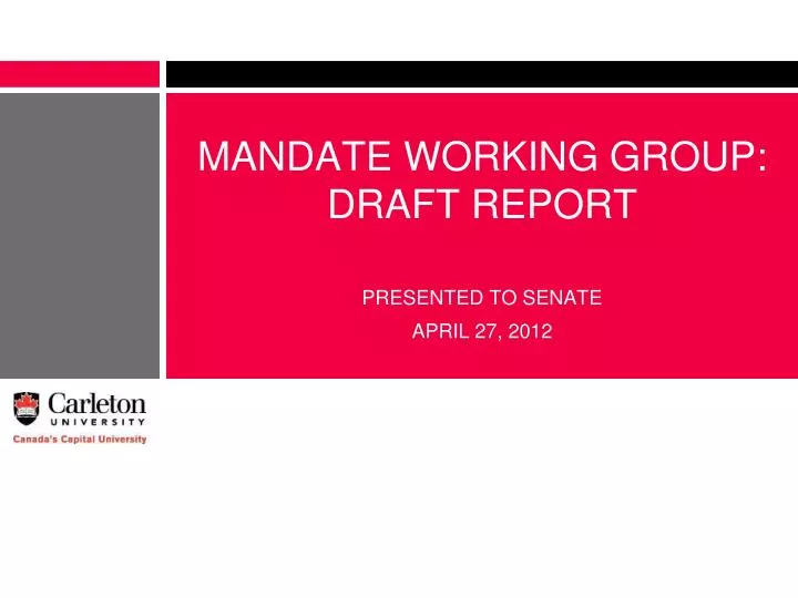 mandate working group draft report
