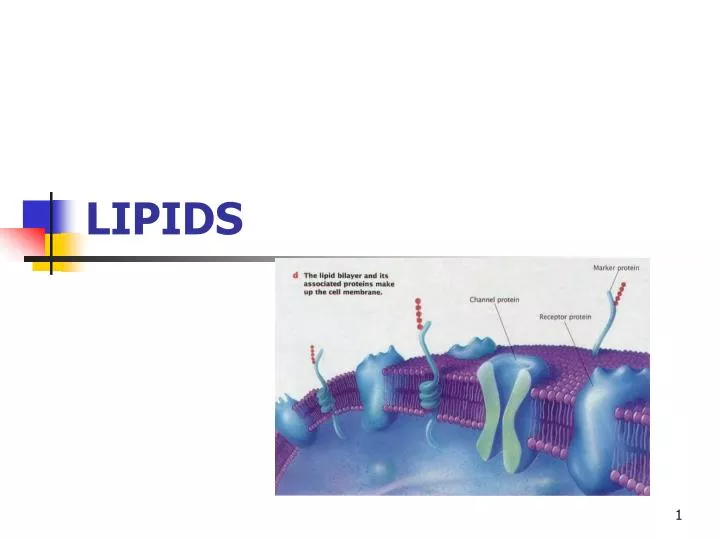 lipids