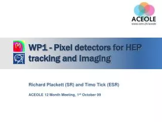 WP1 - Pixel detectors for HEP tracking and Imaging