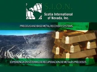 PRECIOUS AND BASE METAL RECOVERY SYSTEMS