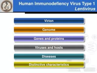 Human Immunodefiency Virus Type 1 Lentivirus