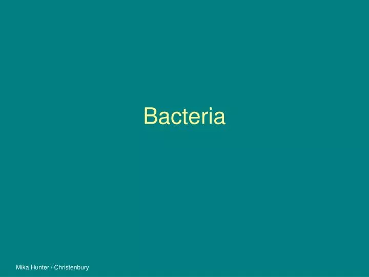 bacteria