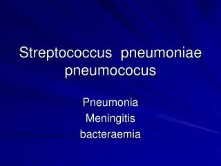 Streptococcus pneumoniae pneumococus