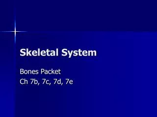 skeletal system
