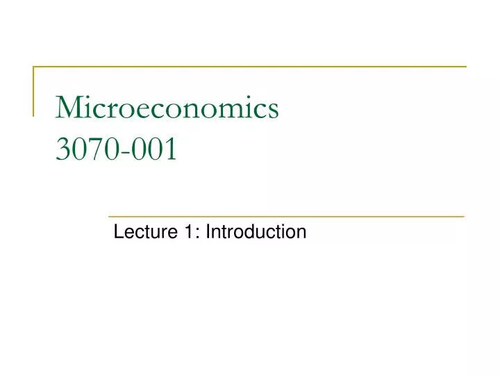 microeconomics 3070 001