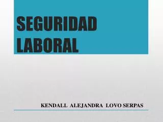seguridad laboral