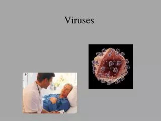 Viruses