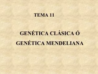 tema 11