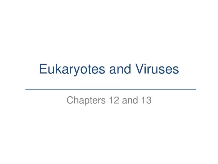 eukaryotes and viruses