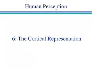 6: The Cortical Representation