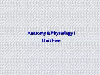 Anatomy &amp; Physiology I Unit Five