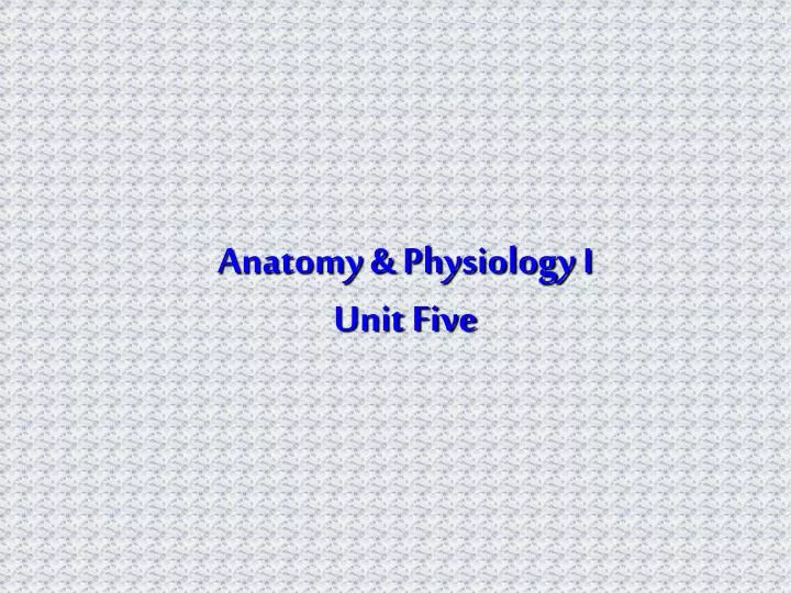 PPT - Anatomy & Physiology I Unit Five PowerPoint Presentation - ID:2957258