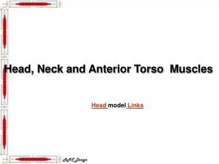 Head, Neck and Anterior Torso Muscles
