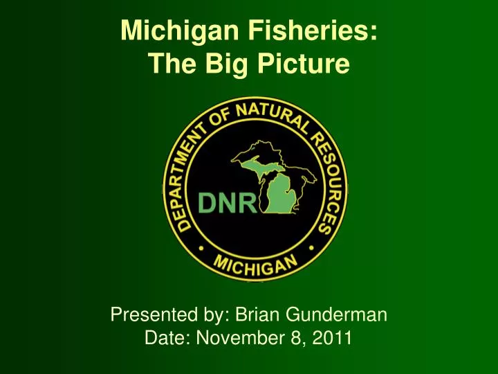 michigan fisheries the big picture