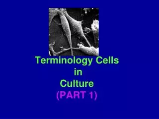 Terminology Cells in Culture (PART 1)