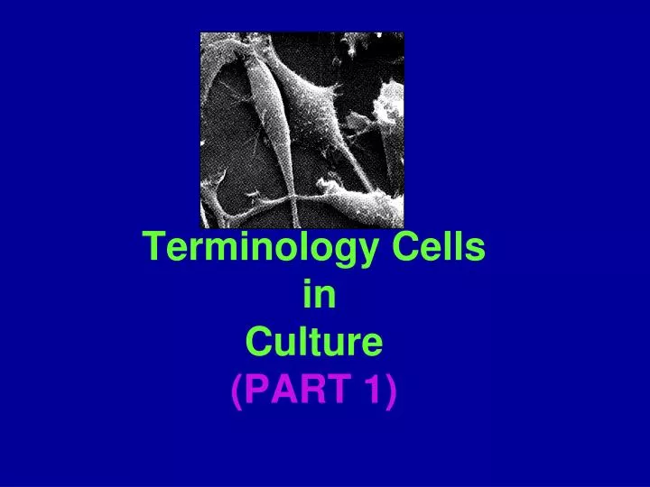 terminology cells in culture part 1