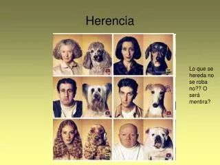 herencia