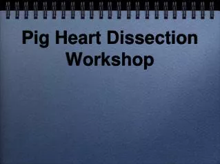 Pig Heart Dissection Workshop
