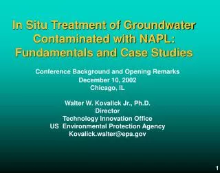 In Situ Treatment of Groundwater Contaminated with NAPL: Fundamentals and Case Studies