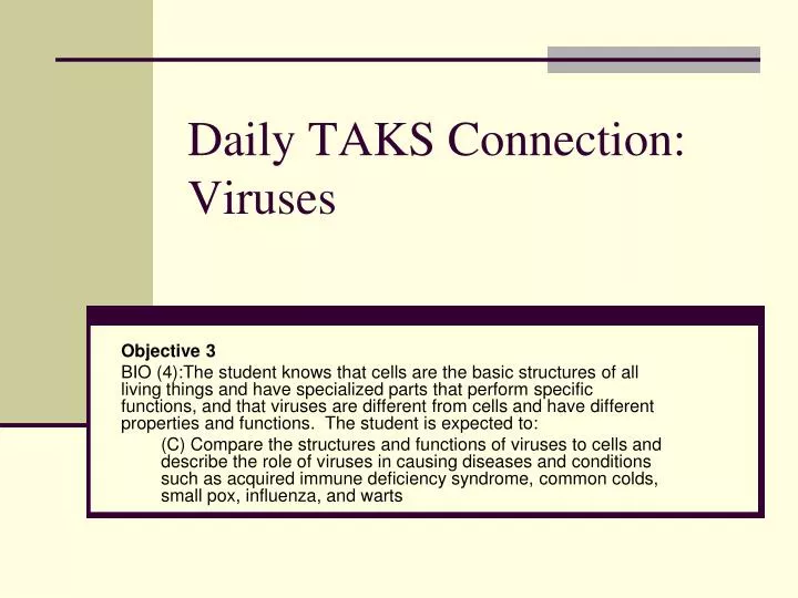 daily taks connection viruses