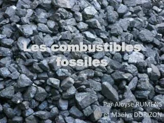 les combustibles fossiles