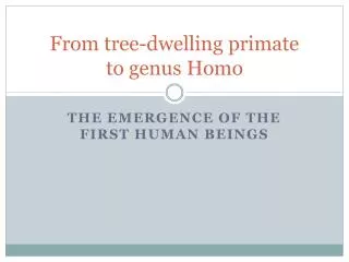 From tree-dwelling primate to genus Homo