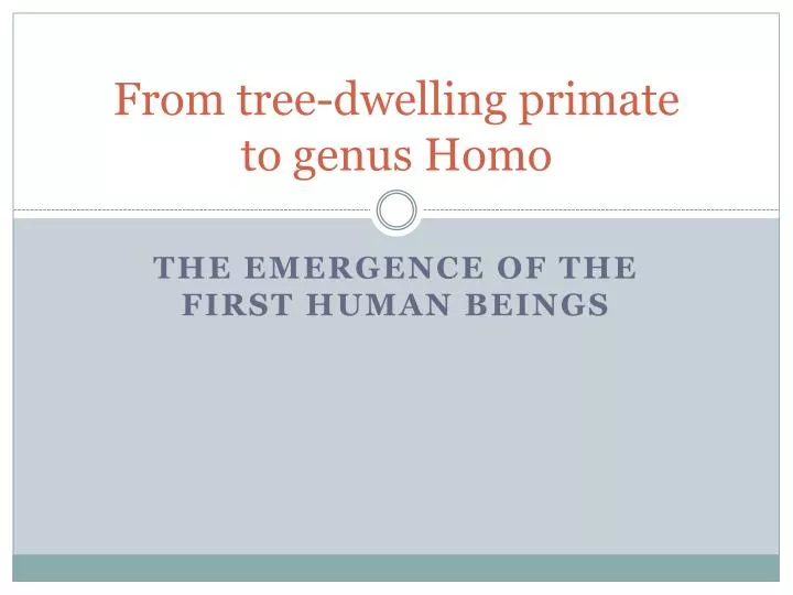 from tree dwelling primate to genus homo