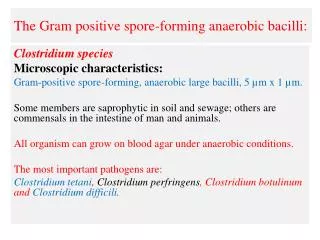 The Gram positive spore-forming anaerobic bacilli: