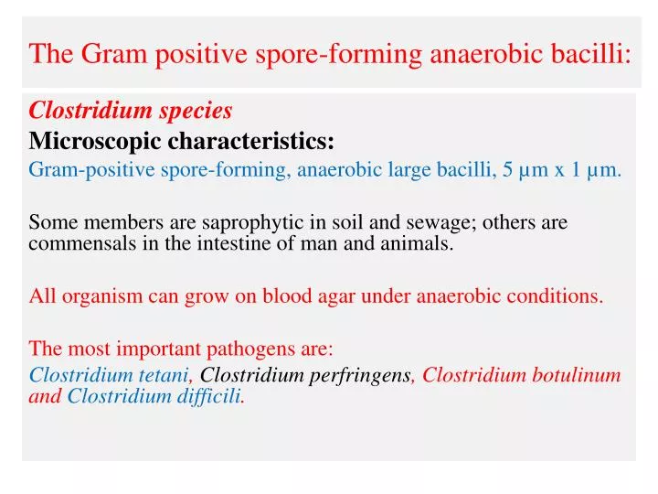 the gram positive spore forming anaerobic bacilli