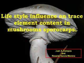 Life style influence on trace element content in mushrooms sporocarps .