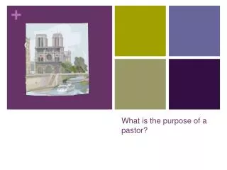 What is the purpose of a pastor?