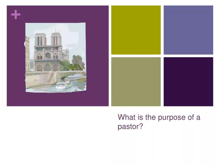what is the purpose of a pastor