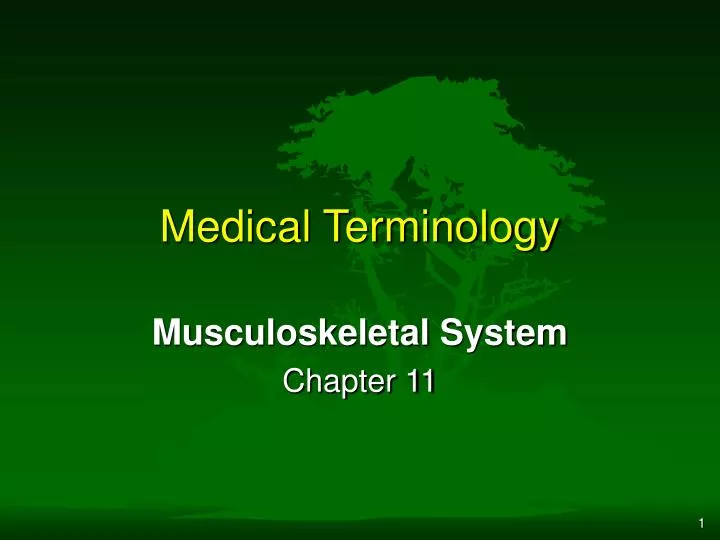 medical terminology