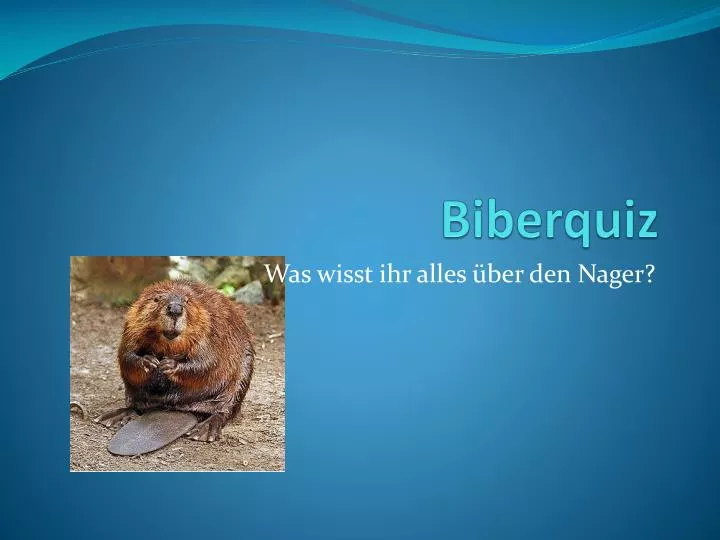 biberquiz