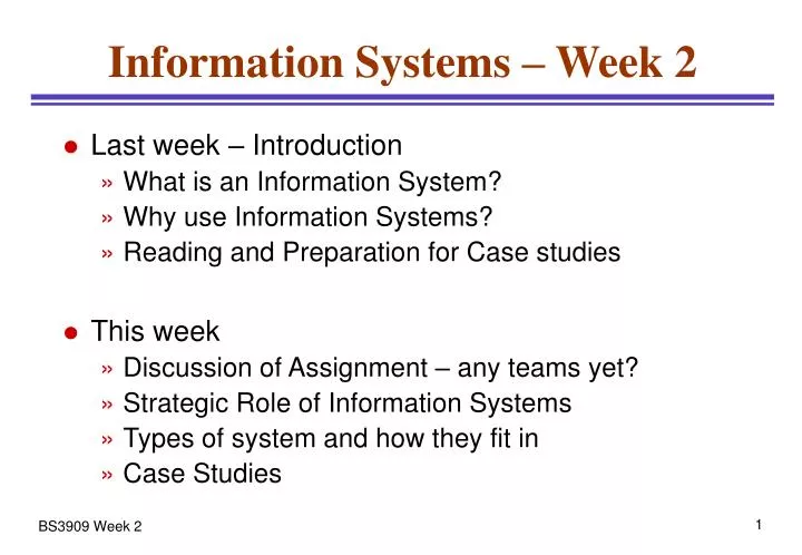information systems week 2