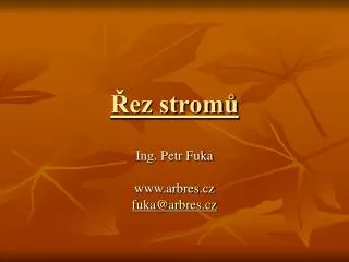 ez strom