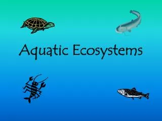 PPT - Chapter 7: Aquatic Ecosystems PowerPoint Presentation, Free ...