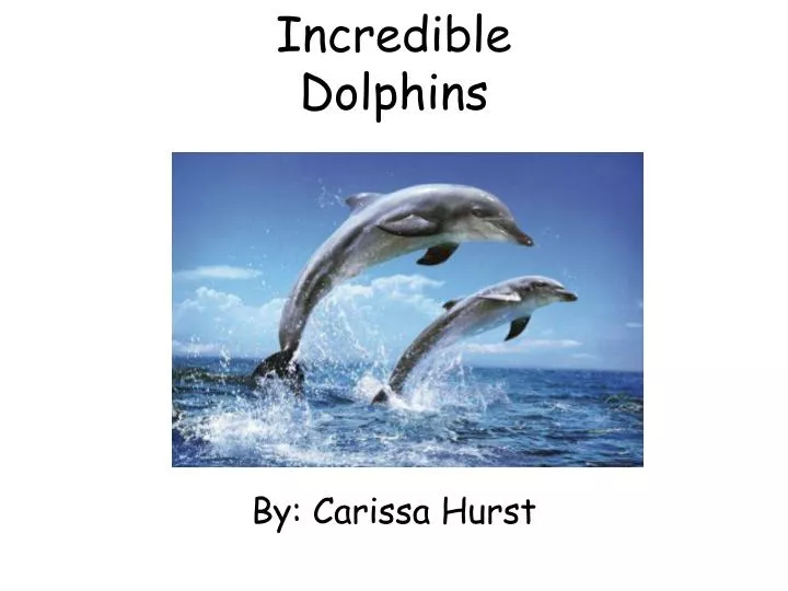 incredible dolphins