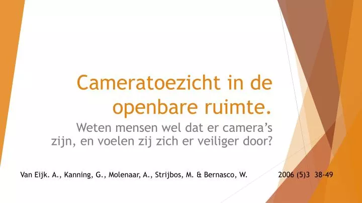 cameratoezicht in de openbare ruimte