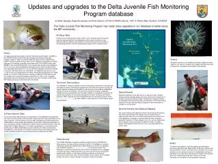 Updates and upgrades to the Delta Juvenile Fish Monitoring Program database