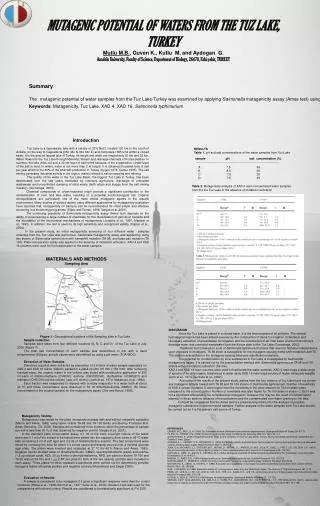 MUTAGENIC POTENTIAL OF WATERS FROM THE TUZ LAKE, TURKEY