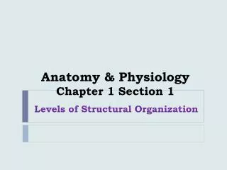 Anatomy &amp; Physiology Chapter 1 Section 1