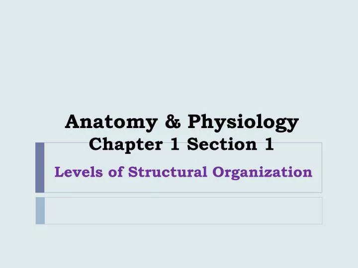 anatomy physiology chapter 1 section 1
