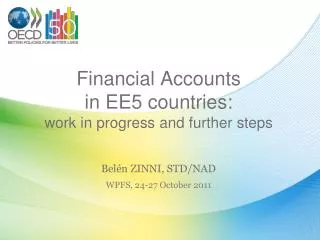 Financial Accounts in EE5 countries: work in progress and further steps