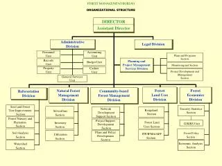 FOREST MANAGEMENT BUREAU ORGANIZATIONAL STRUCTURE