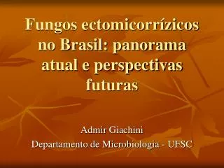 fungos ectomicorr zicos no brasil panorama atual e perspectivas futuras