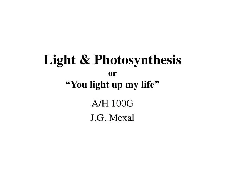 light photosynthesis or you light up my life